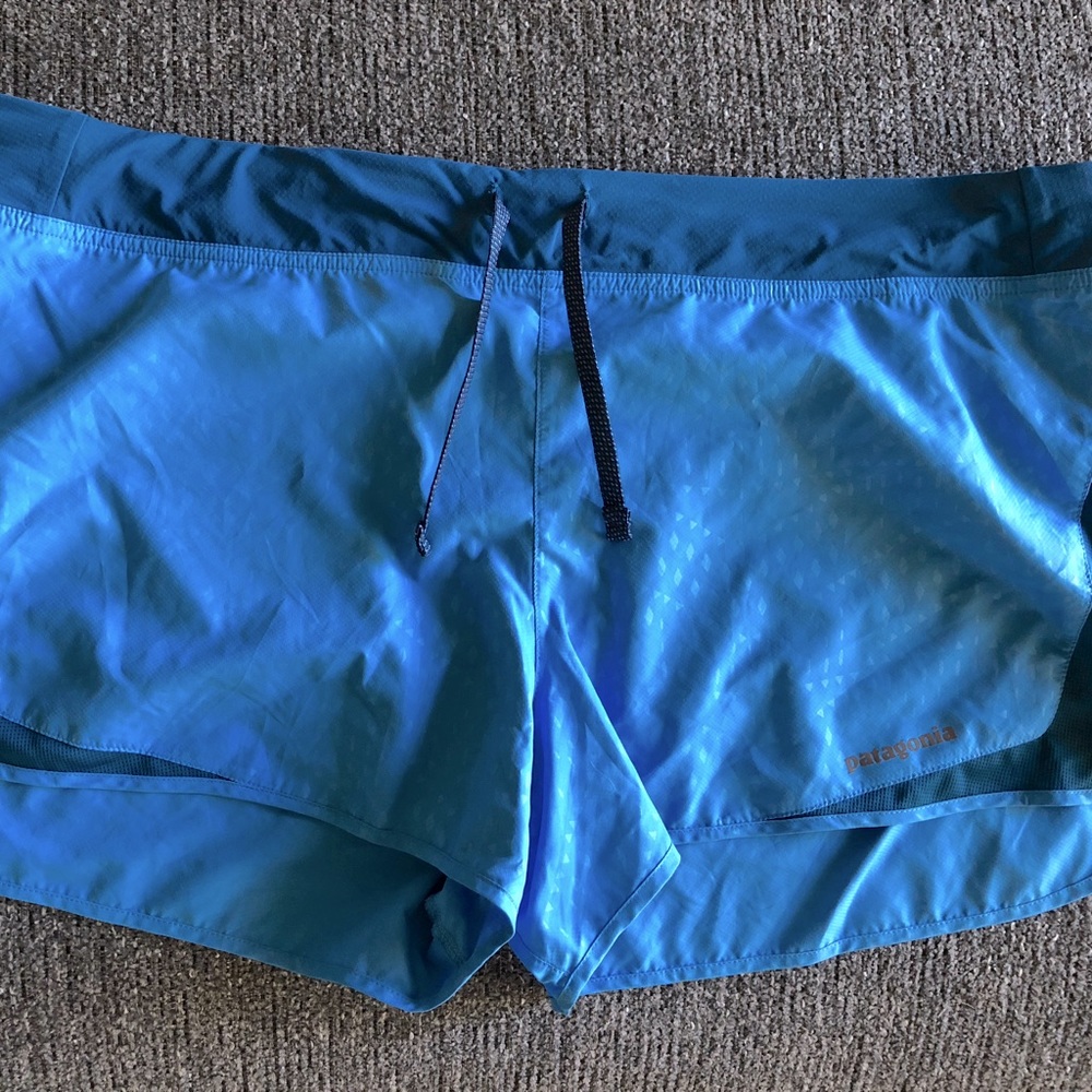 Patagonia hiking shorts!
